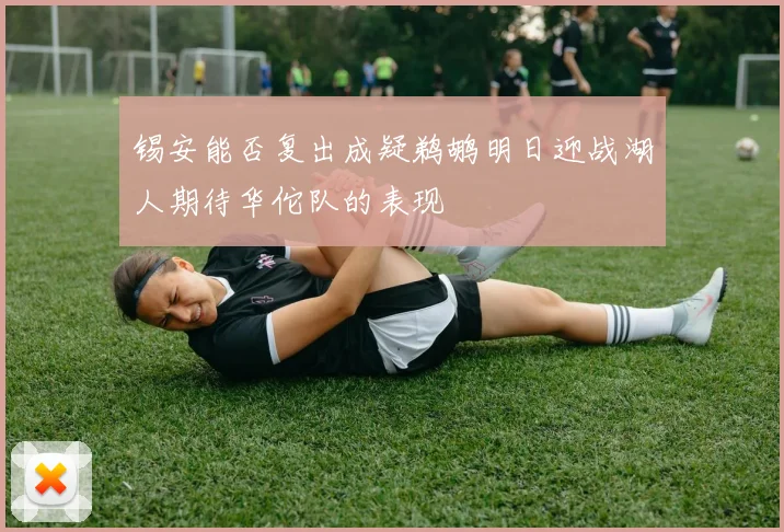 锡安能否复出成疑鹈鹕明日迎战湖人期待华佗队的表现