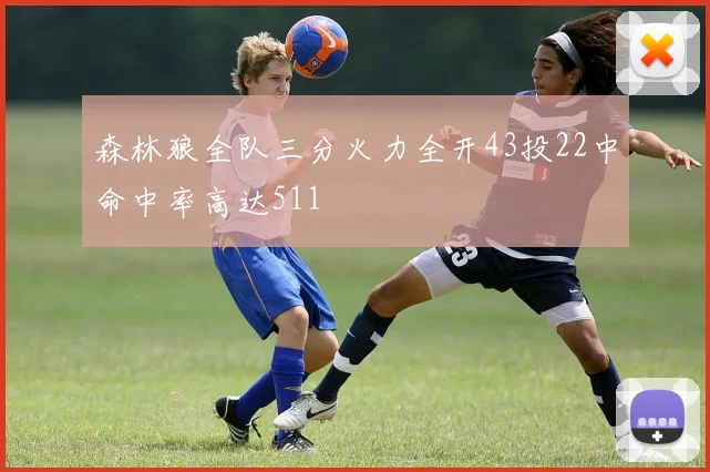 森林狼全队三分火力全开43投22中命中率高达511